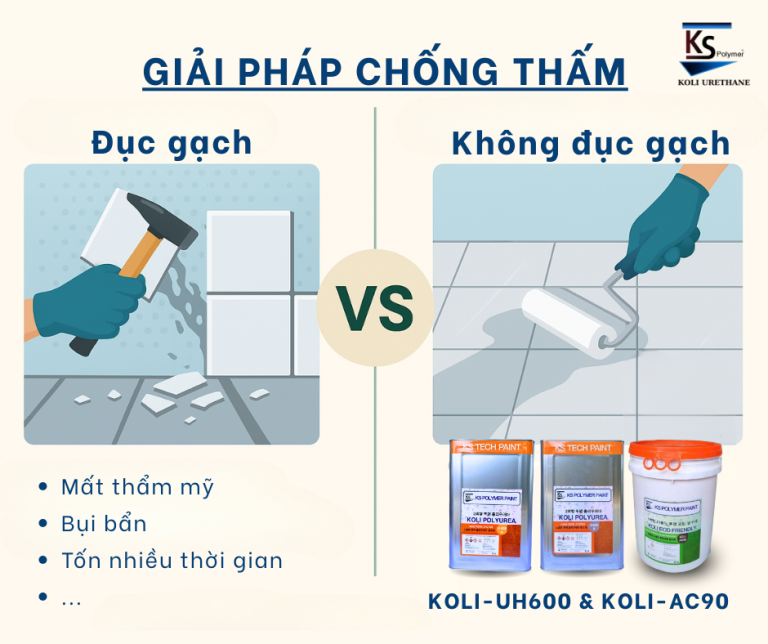 Chong tham nha ve sinh khong can duc gach