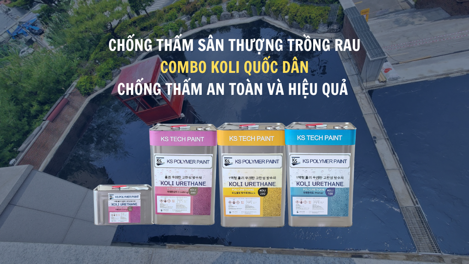Chống thấm sân thượng trồng rau - KOLI